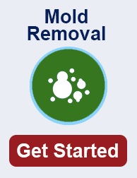 mold remediation in Silver Spring TN